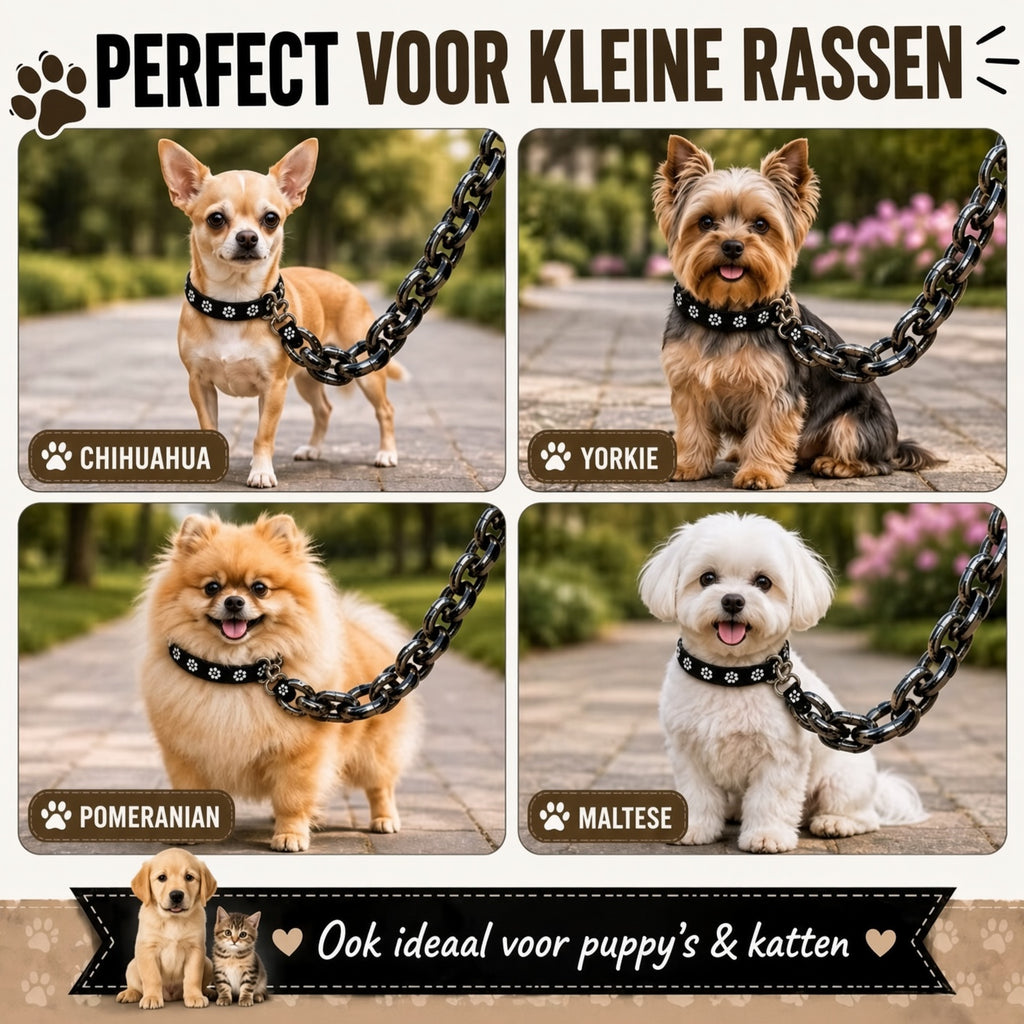 DogChain – De stoerste leiband voor kleine baasjes