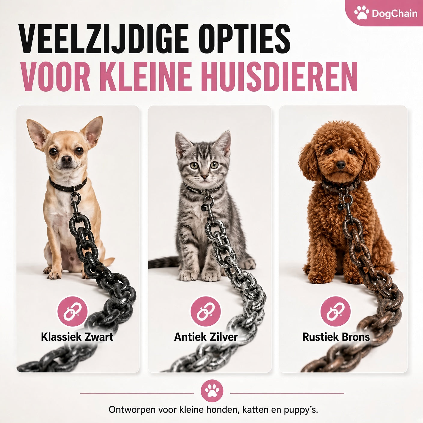 DogChain – De stoerste leiband voor kleine baasjes