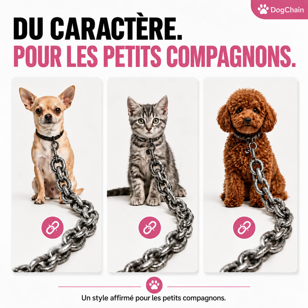 DogChain – La laisse la plus stylée pour les petits chefs