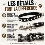 DogChain – La laisse la plus stylée pour les petits chefs