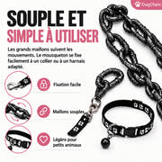 DogChain – La laisse la plus stylée pour les petits chefs