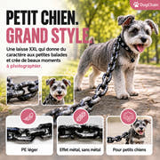 DogChain – La laisse la plus stylée pour les petits chefs